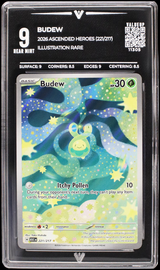 11305 BUDEW