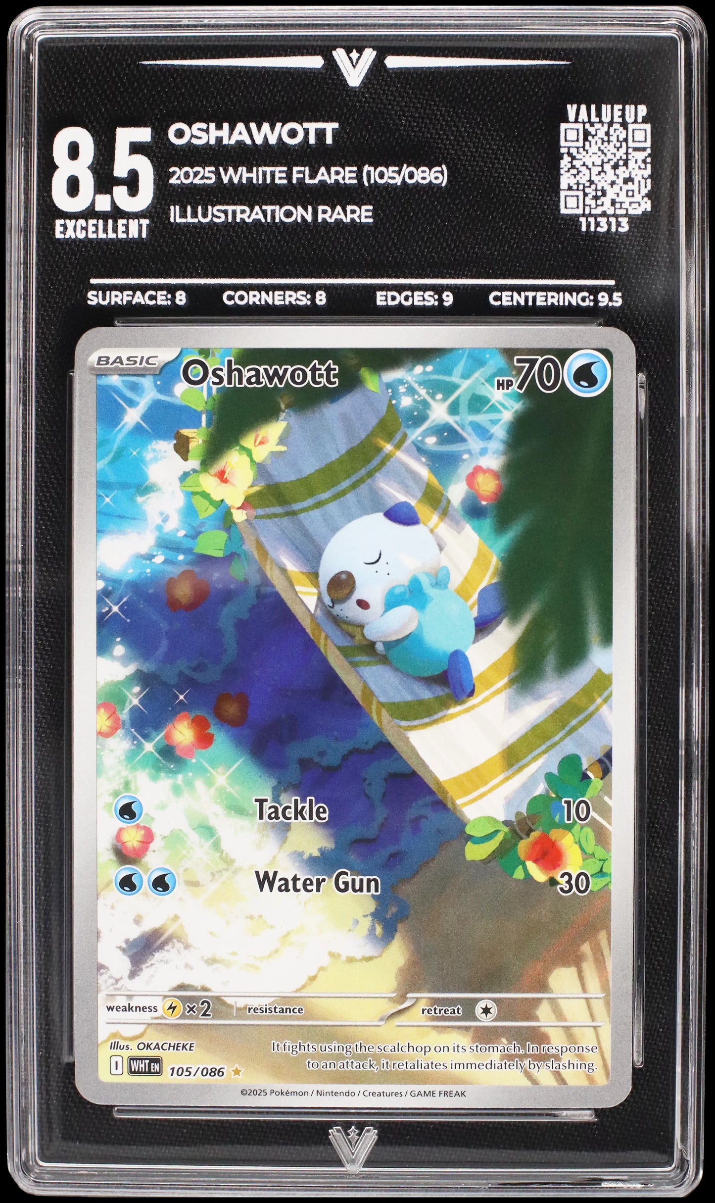11313 OSHAWOTT