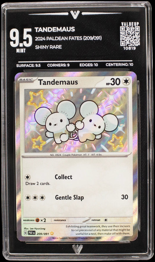 10819 TANDEMAUS