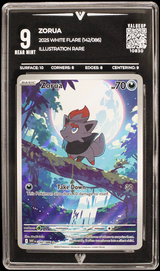 10830 ZORUA