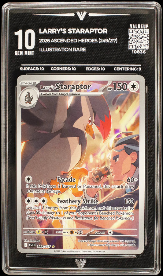 10836 LARRY'S STARAPTOR