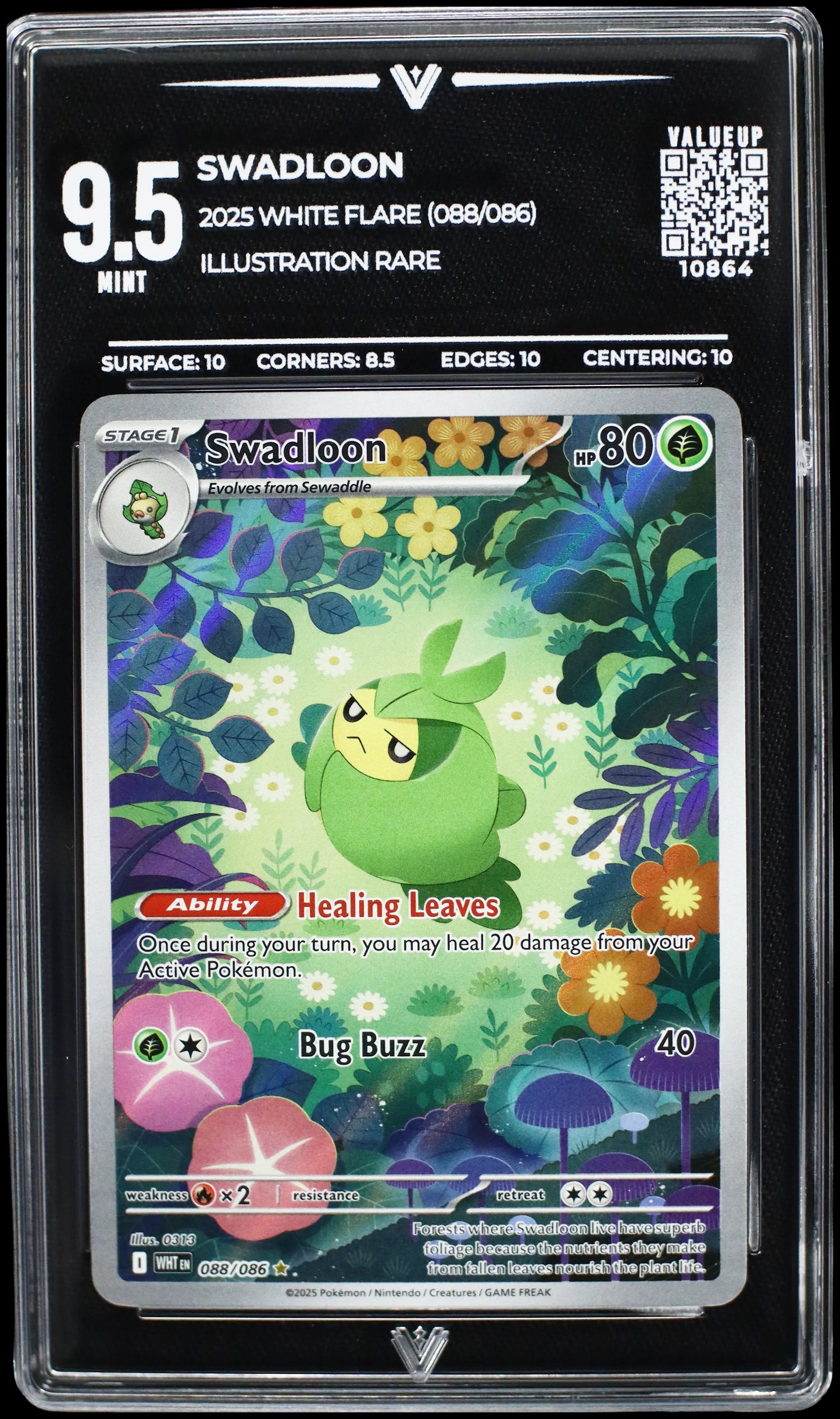 10864 SWADLOON