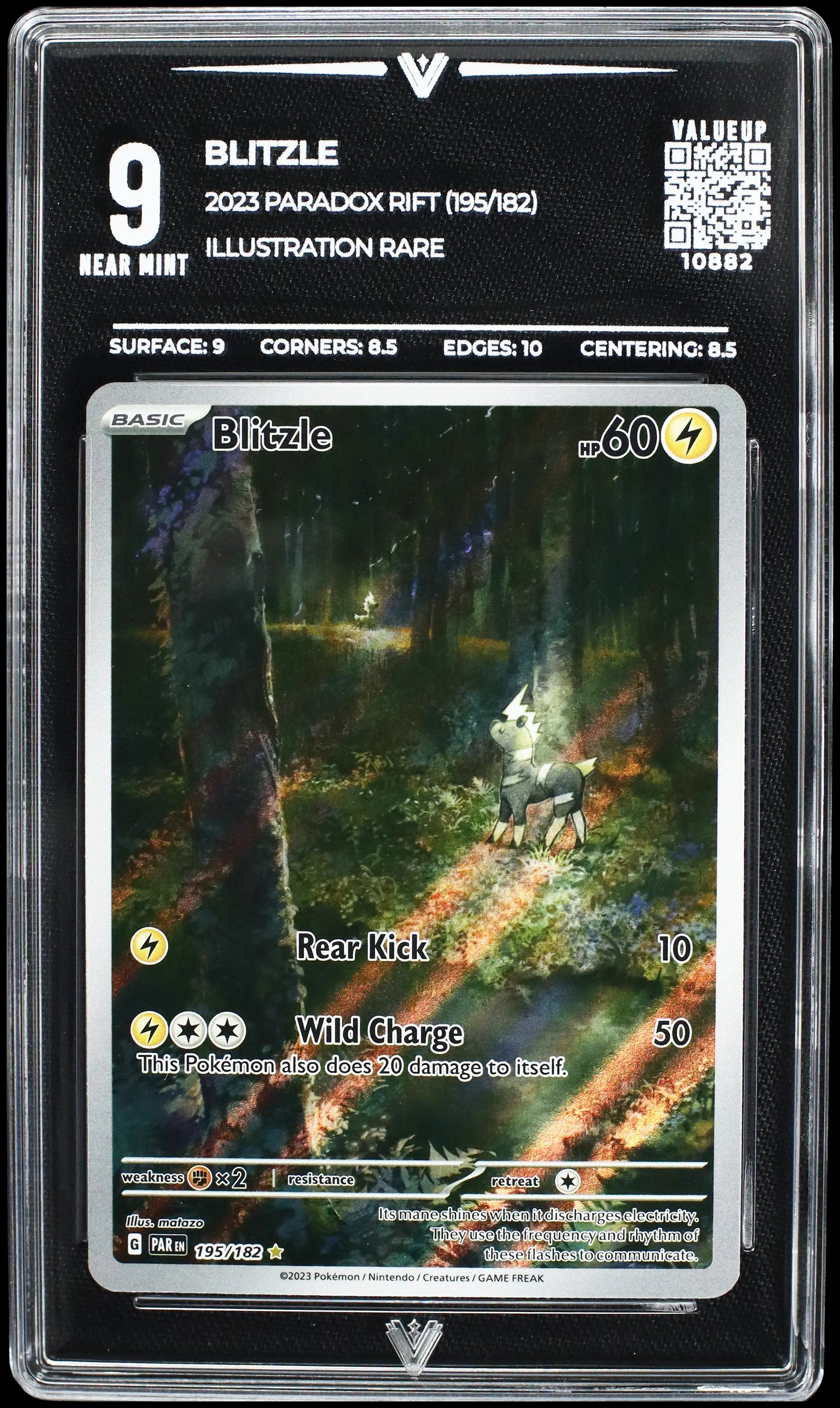 10882 BLITZLE