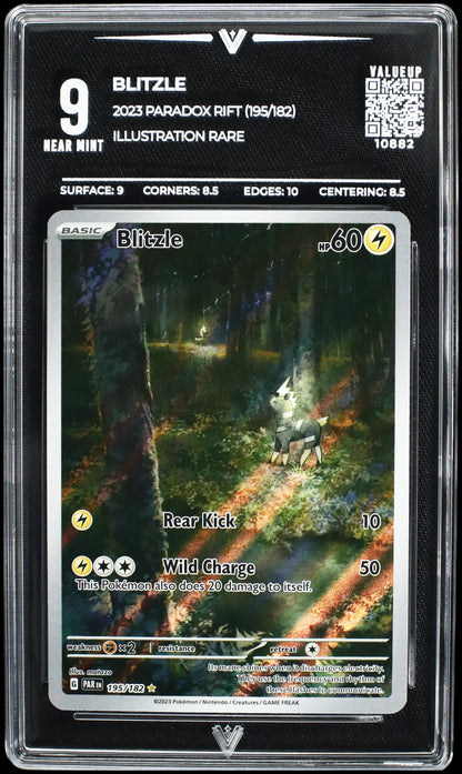 10882 BLITZLE