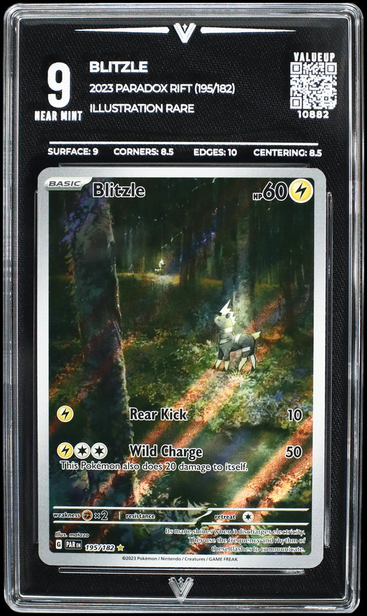 10882 BLITZLE