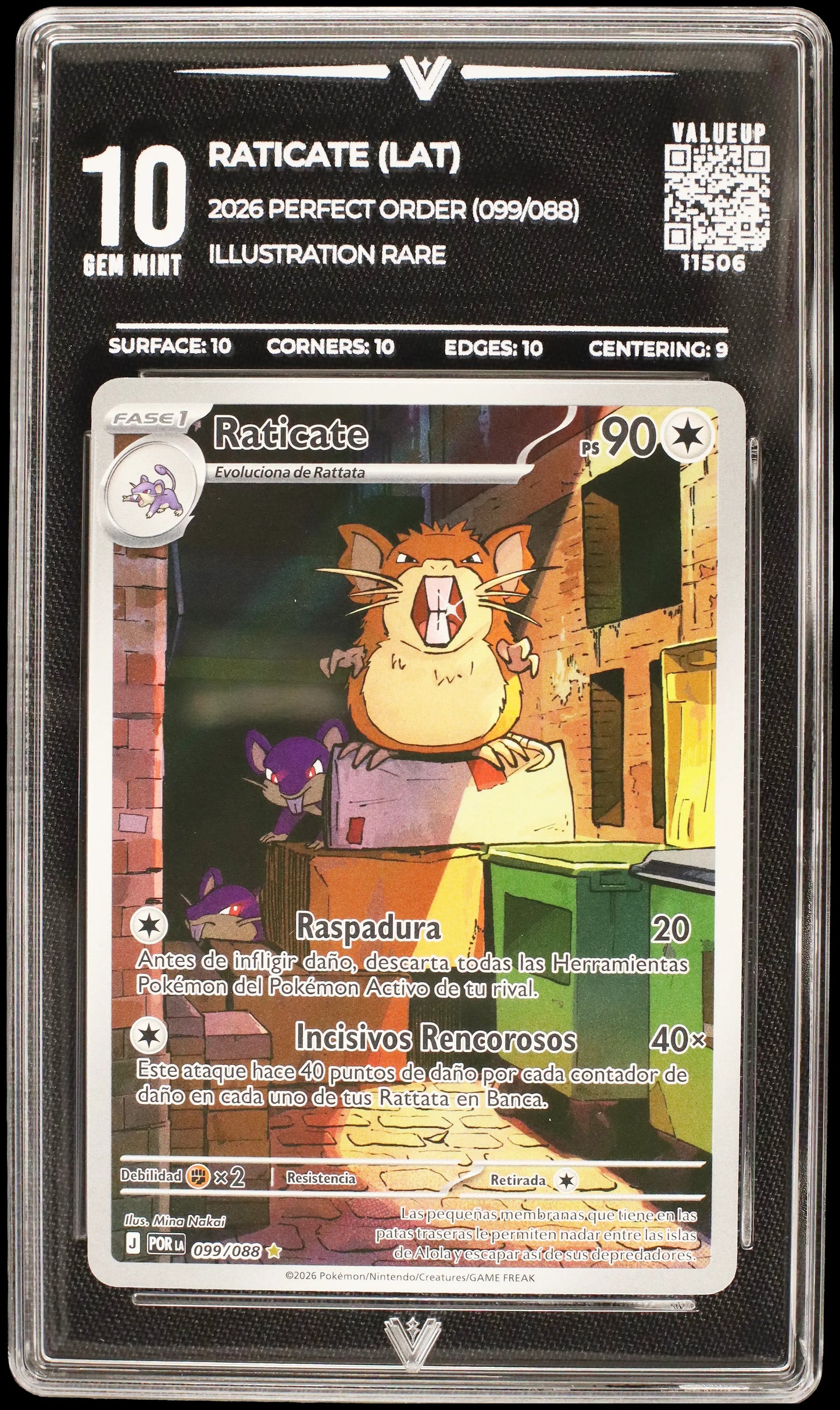 11506 RATICATE (LAT)