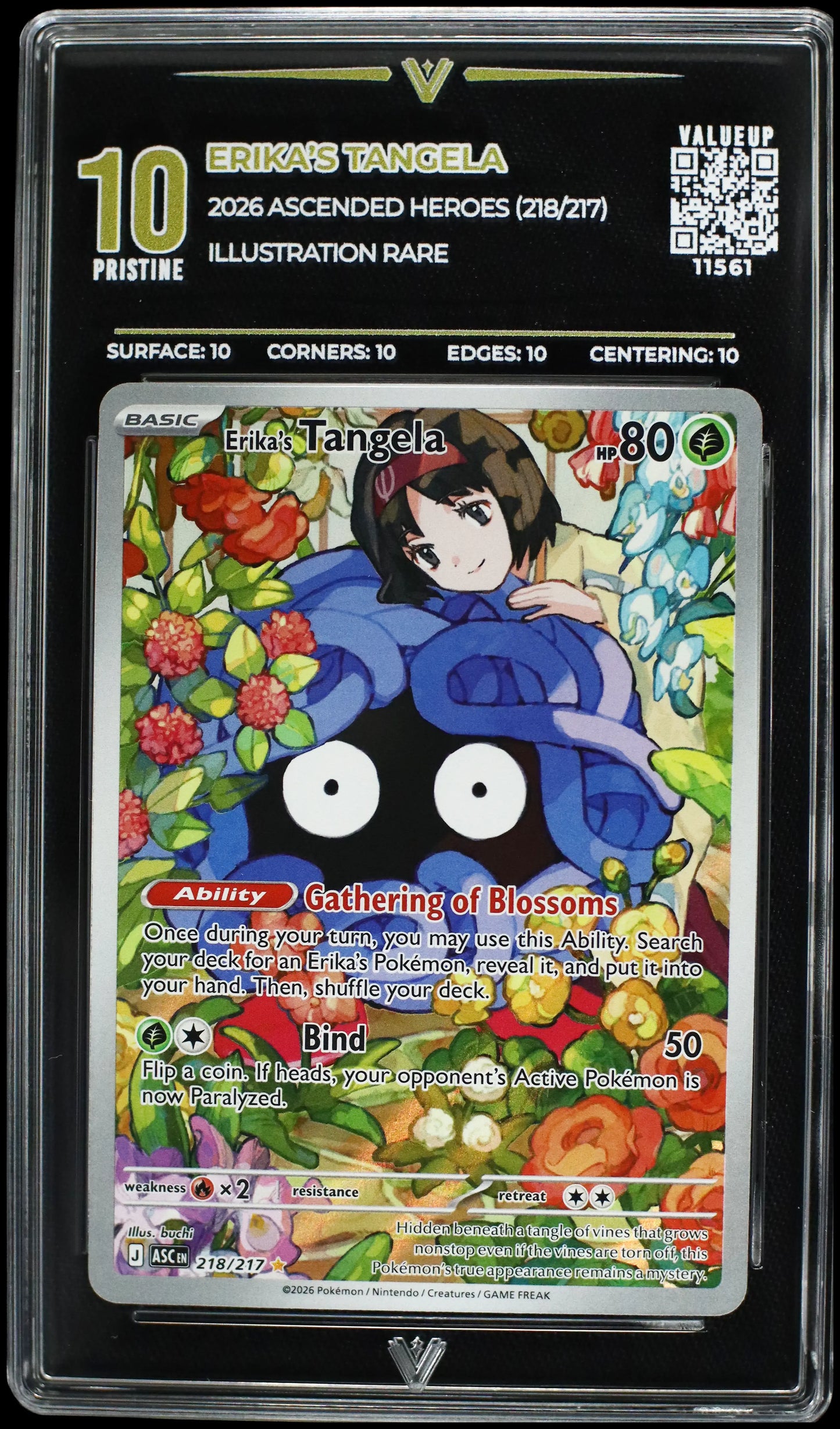 11561 ERIKA'S TANGELA