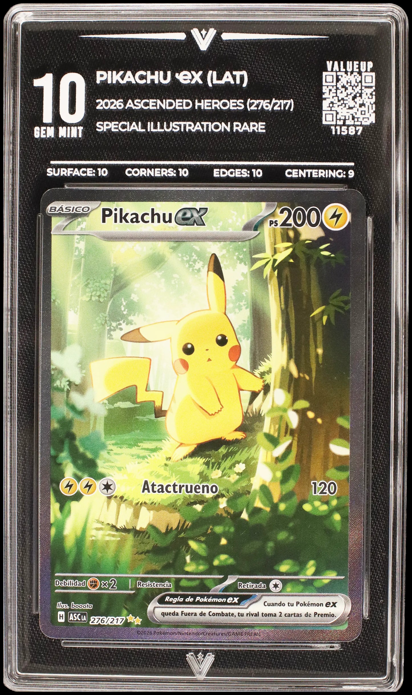 11587 PIKACHU Ҽx (LAT)