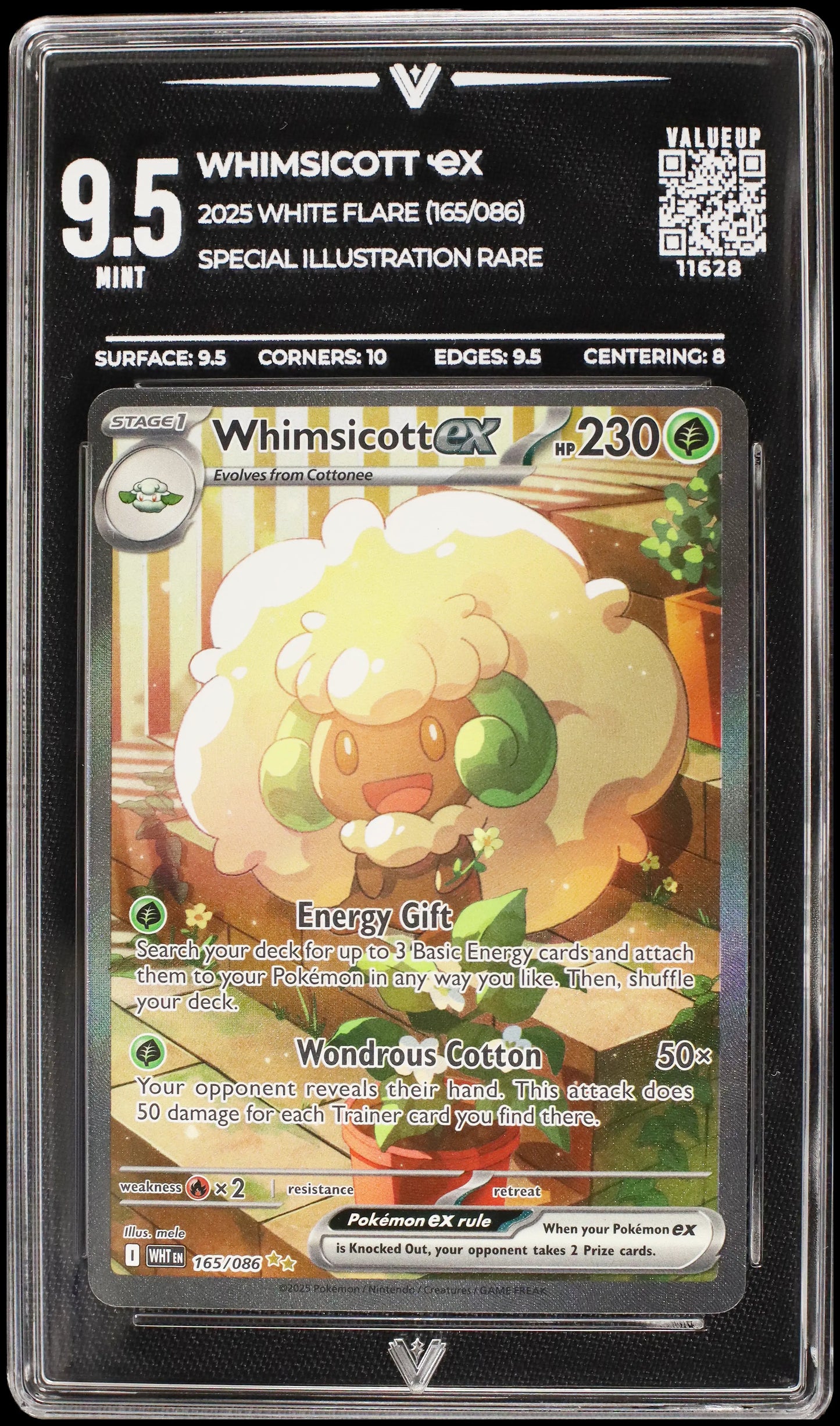 11628 WHIMSICOTT Ҽx