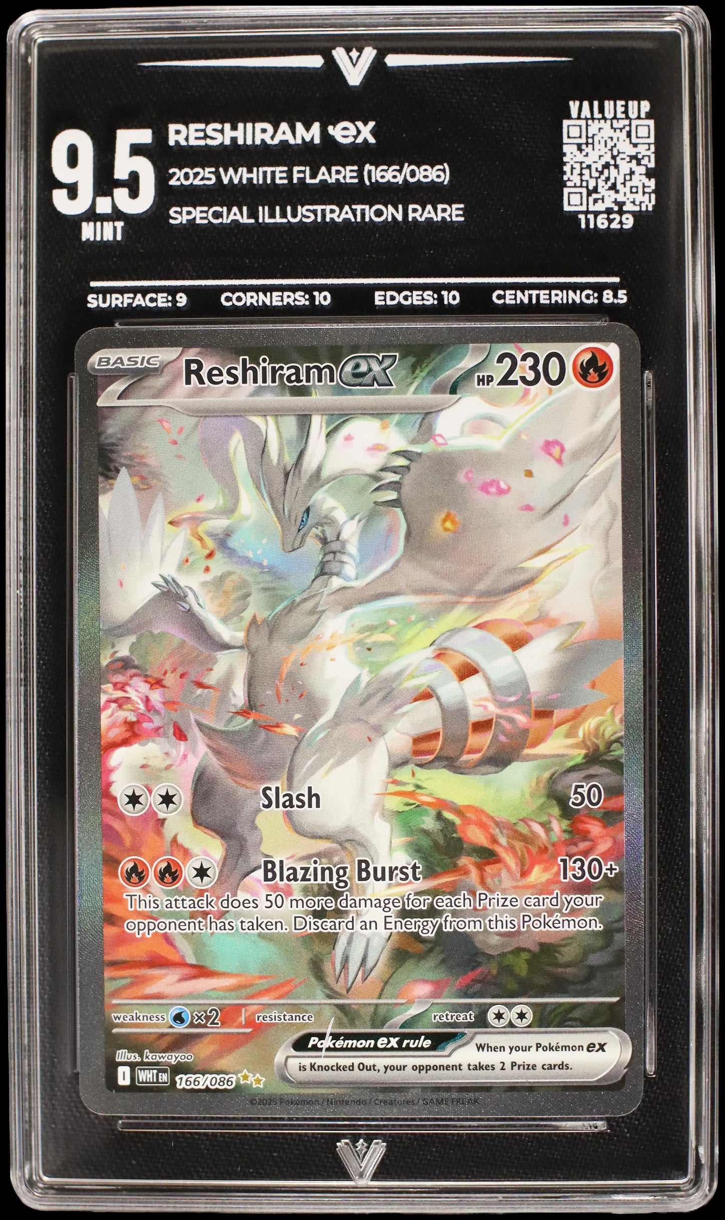 11629 RESHIRAM Ҽx