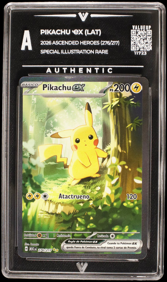 11723 PIKACHU Ҽx (LAT)