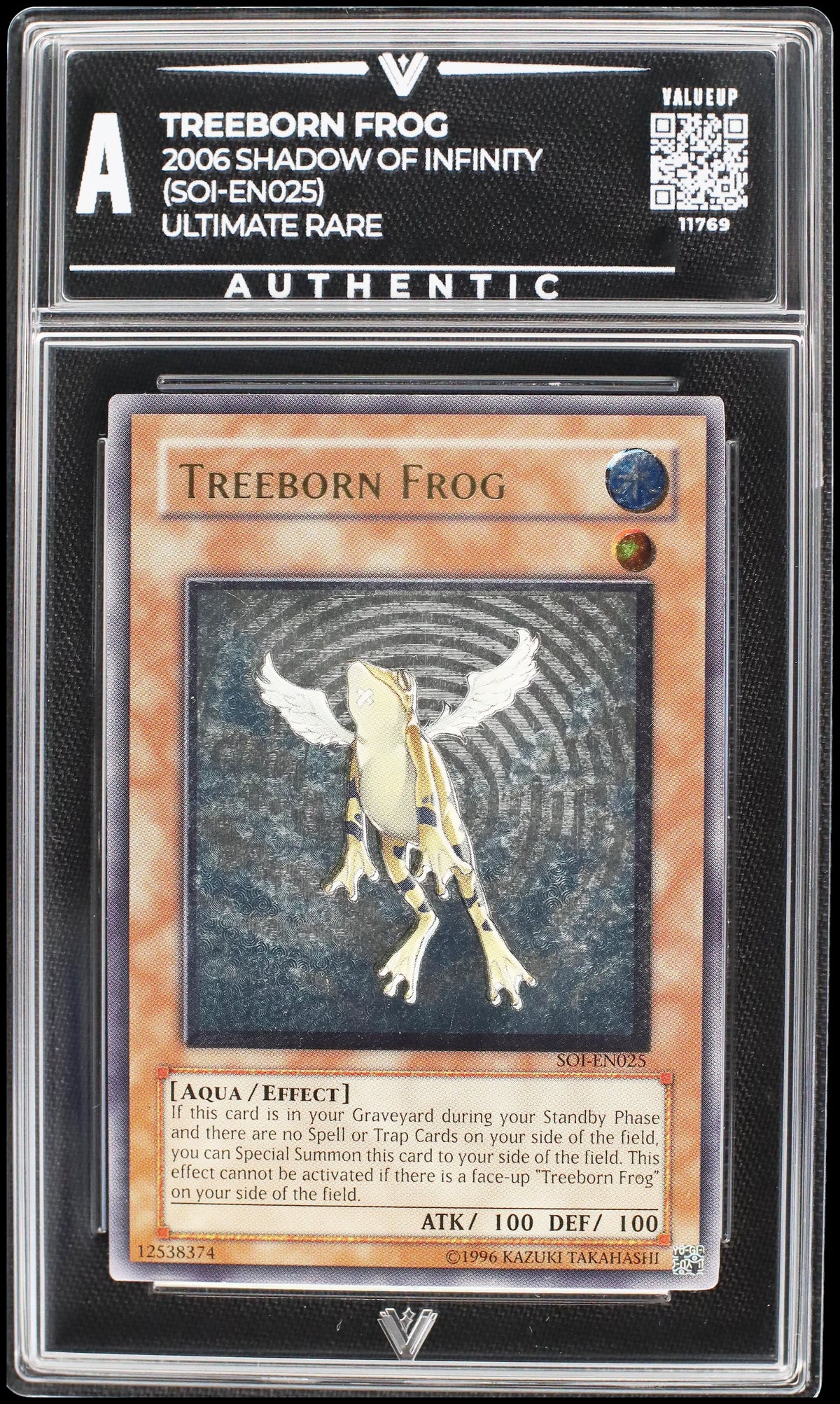 11769 TREEBORN FROG