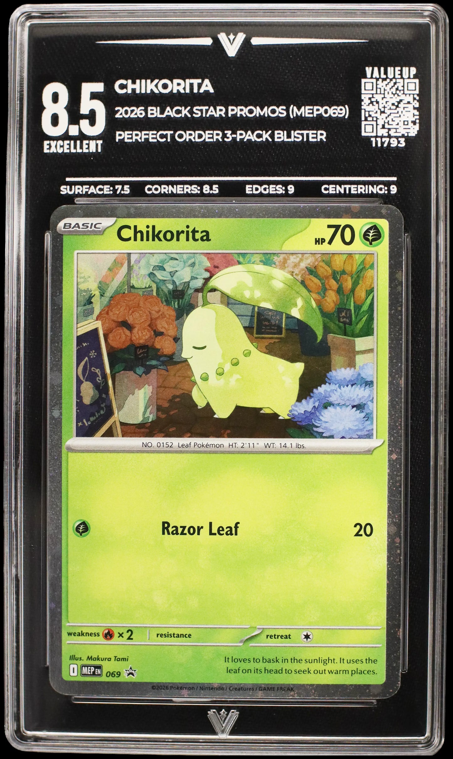 11793 CHIKORITA
