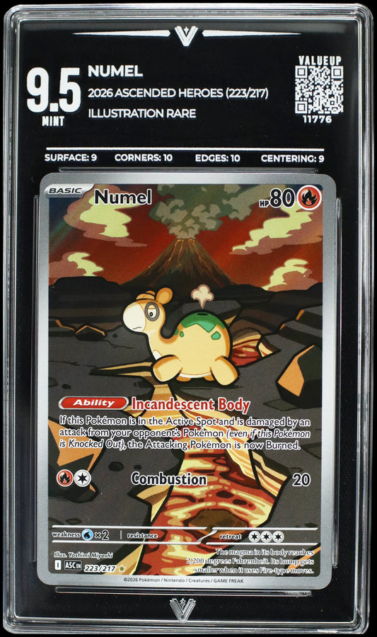 11776 NUMEL
