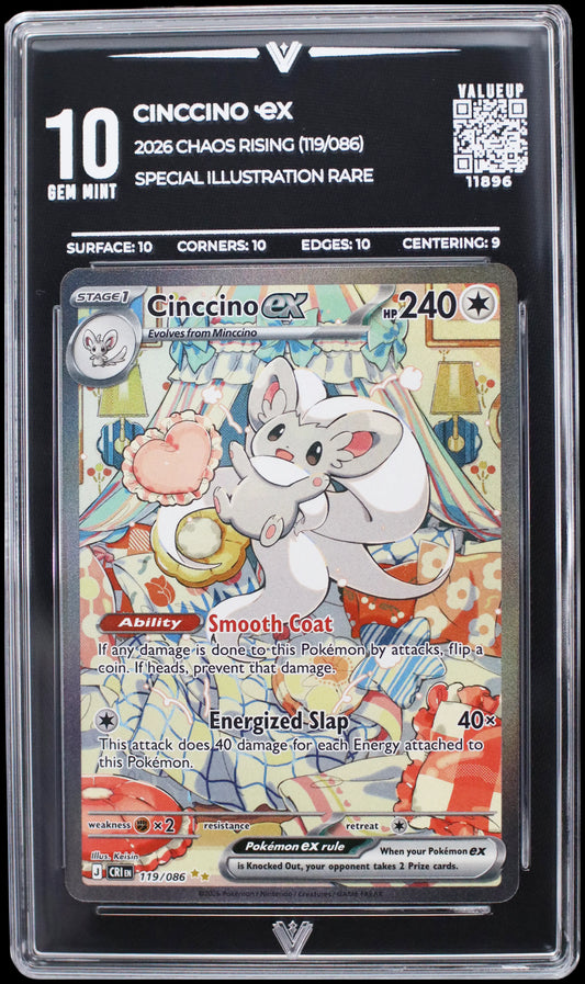 11896 CINCCINO Ҽx