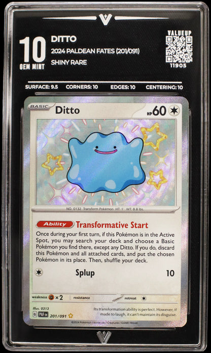 11905 DITTO