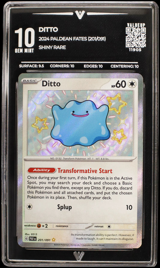 11905 DITTO