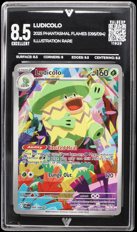 11929 LUDICOLO