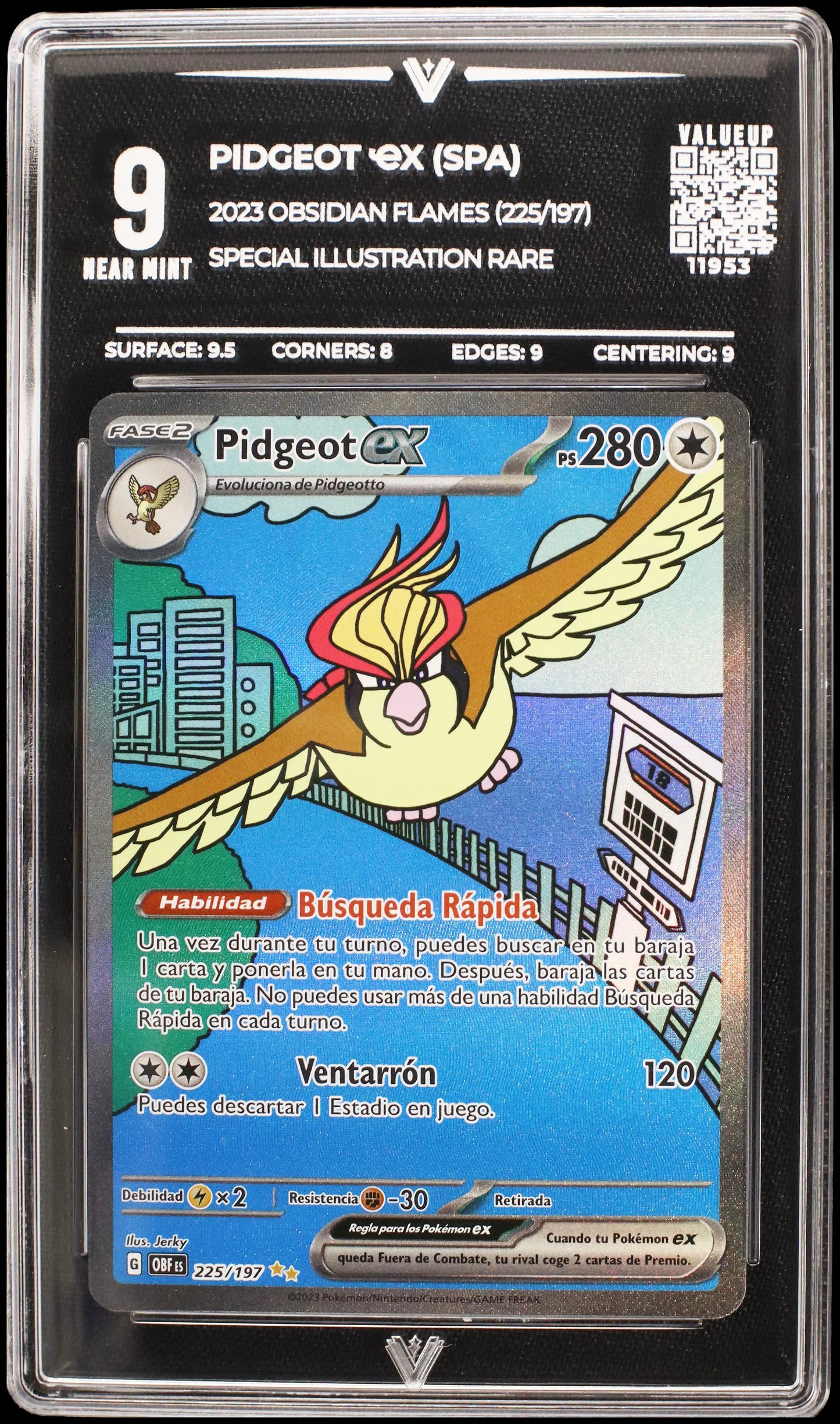 11953 PIDGEOT Ҽx (SPA)