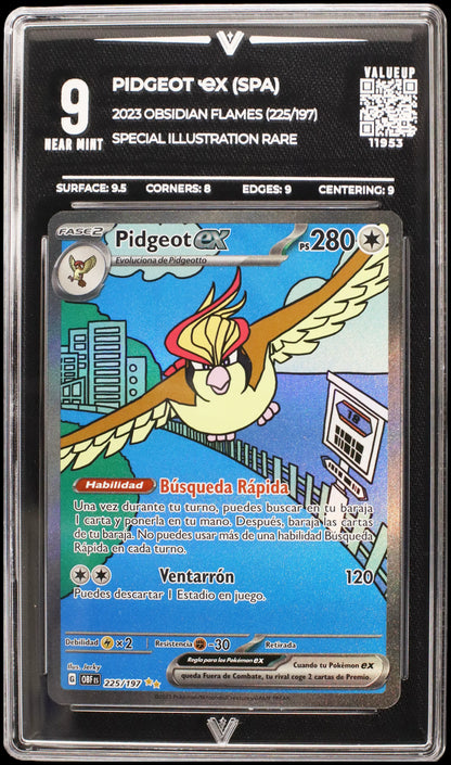 11953 PIDGEOT Ҽx (SPA)