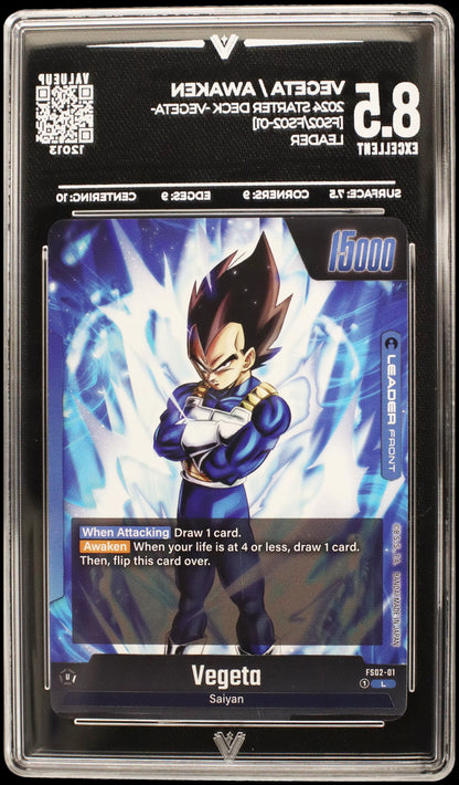 12013 VEGETA / AWAKEN