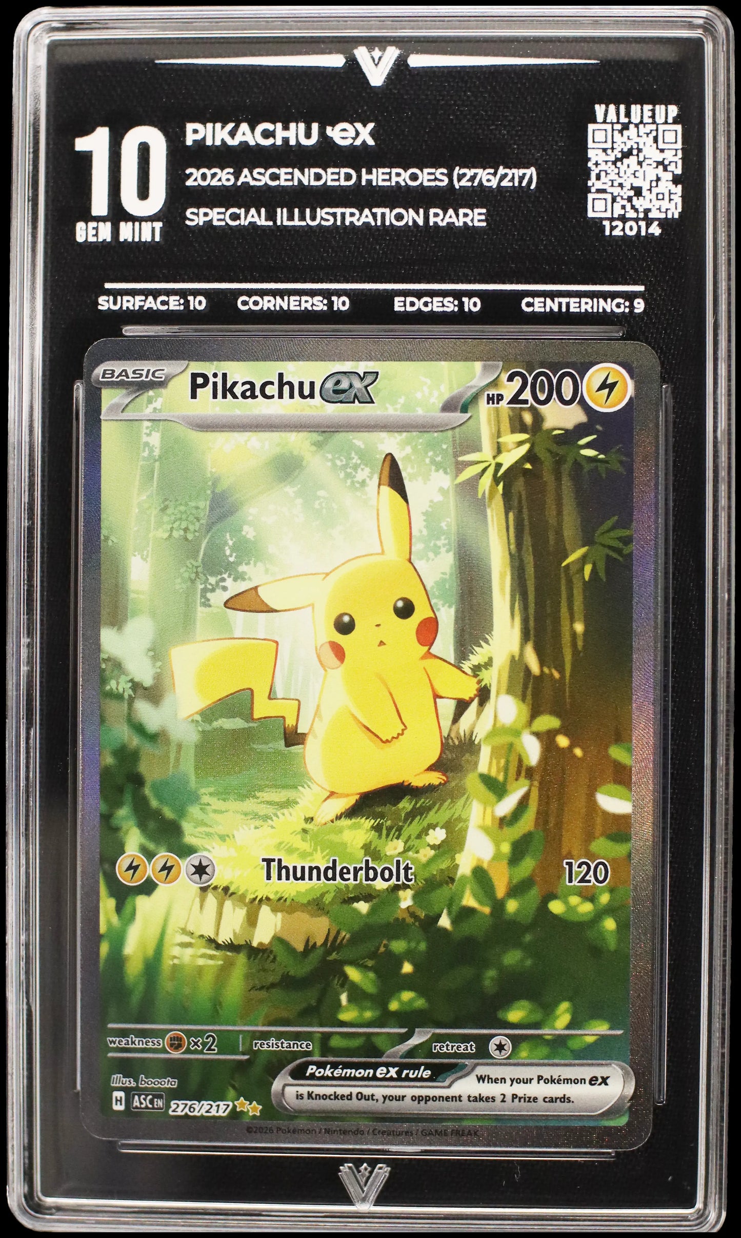 12014 PIKACHU Ҽx