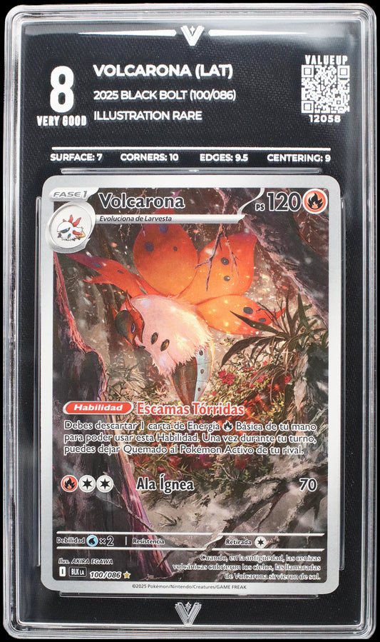 12058 VOLCARONA (LAT)