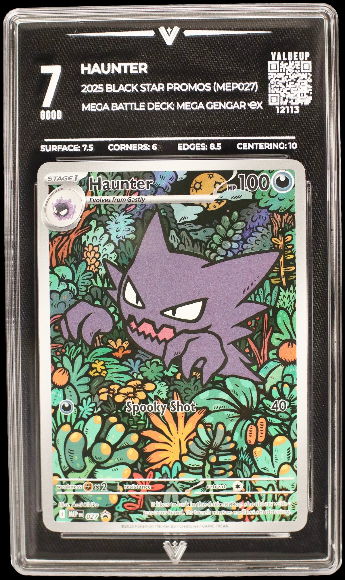 12113 HAUNTER
