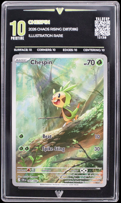 12138 CHESPIN