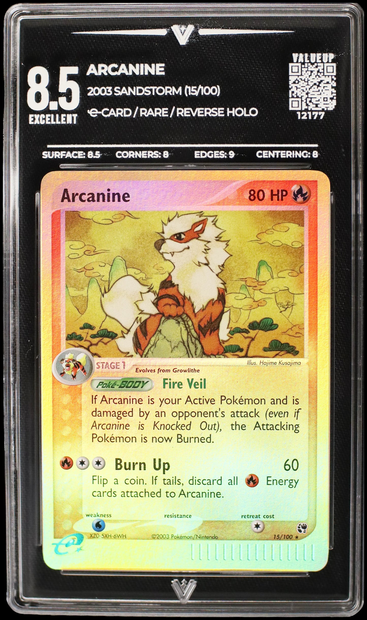 12177 ARCANINE