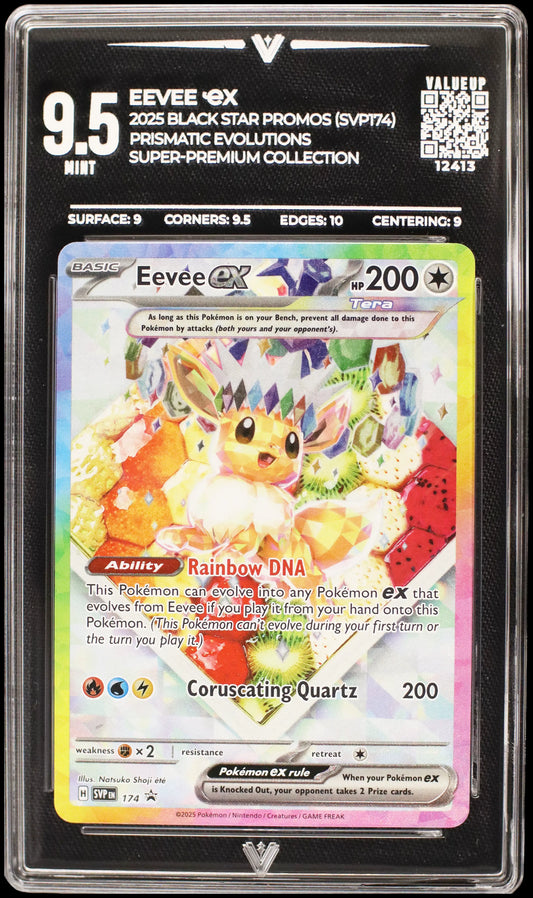 12413 EEVEE Ҽx