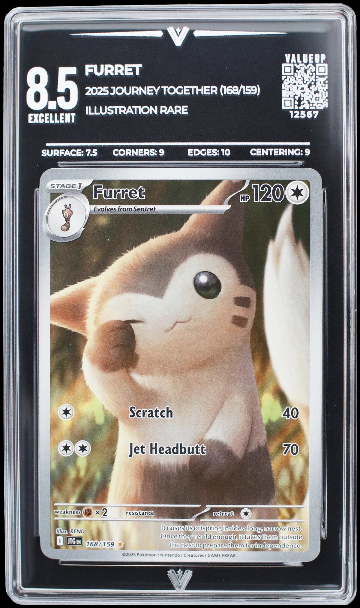 12567 FURRET