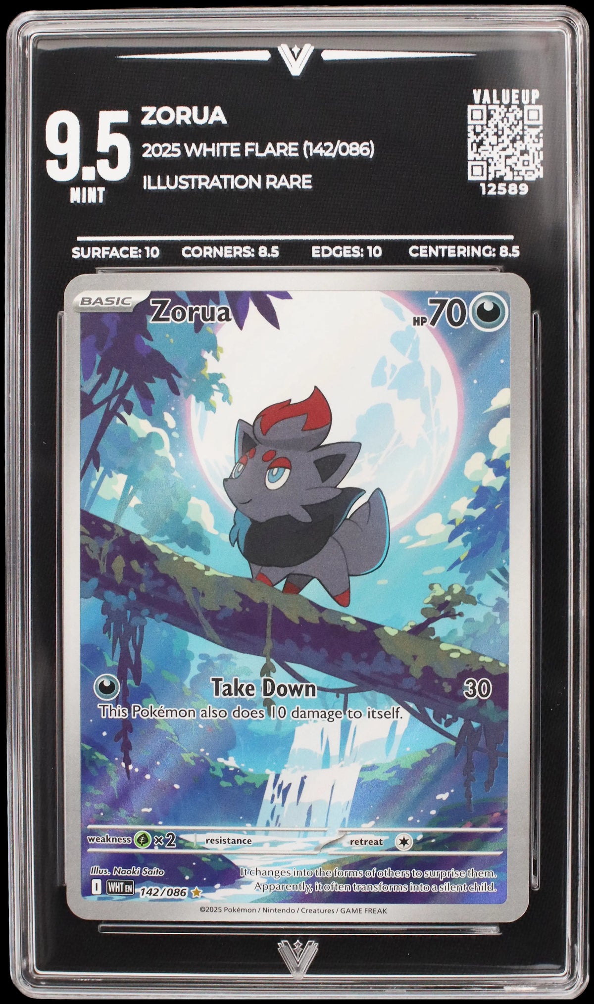 12589 ZORUA