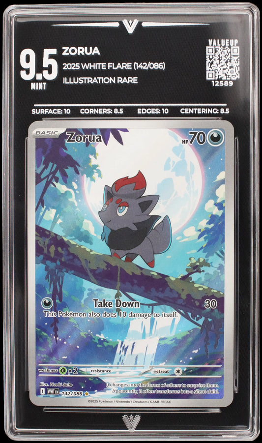 12589 ZORUA