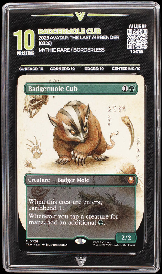 12618 BADGERMOLE CUB