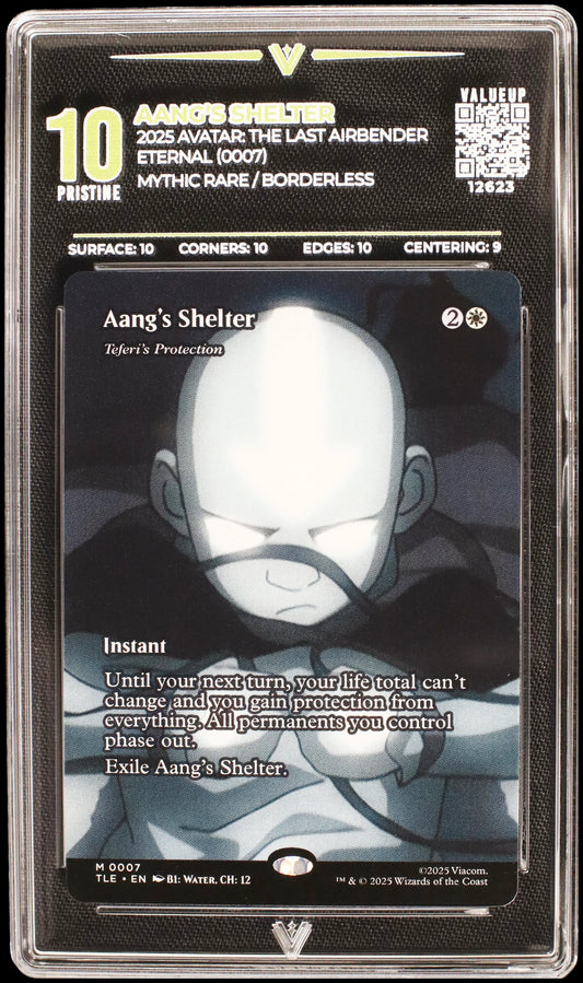 12623 AANG'S SHELTER