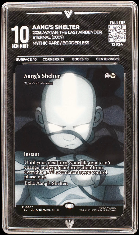 12624 AANG'S SHELTER