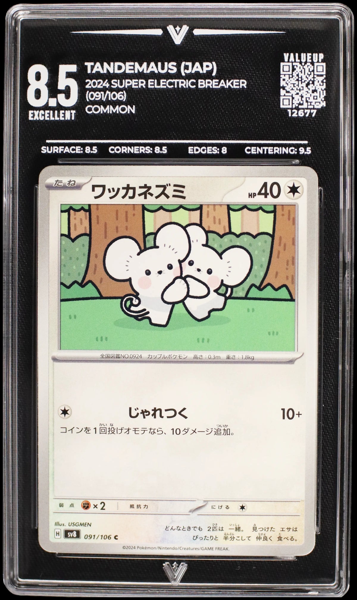 12677 TANDEMAUS (JAP)