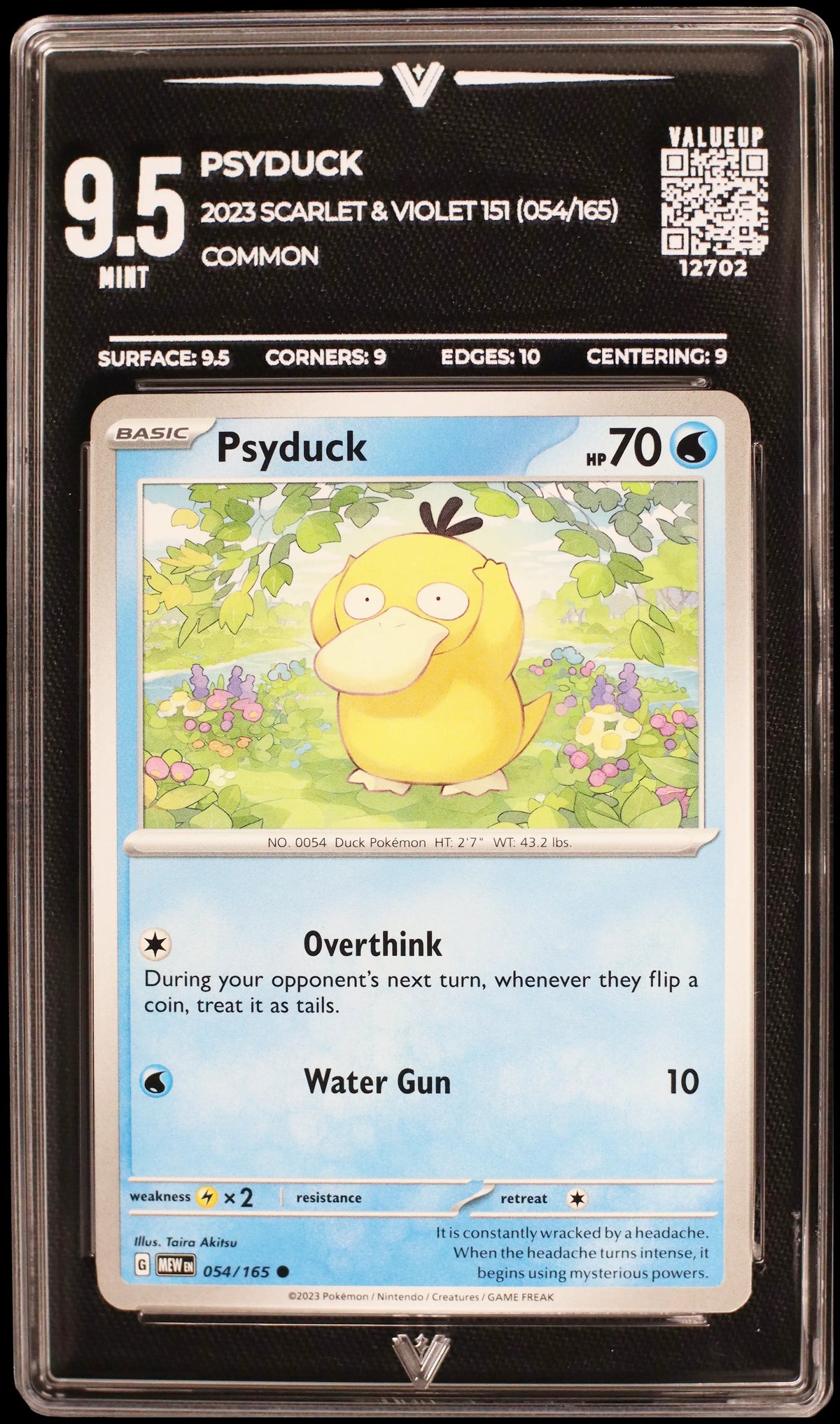 12702 PSYDUCK