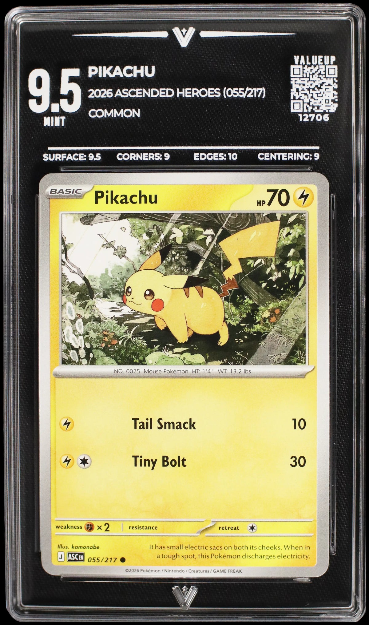 12706 PIKACHU