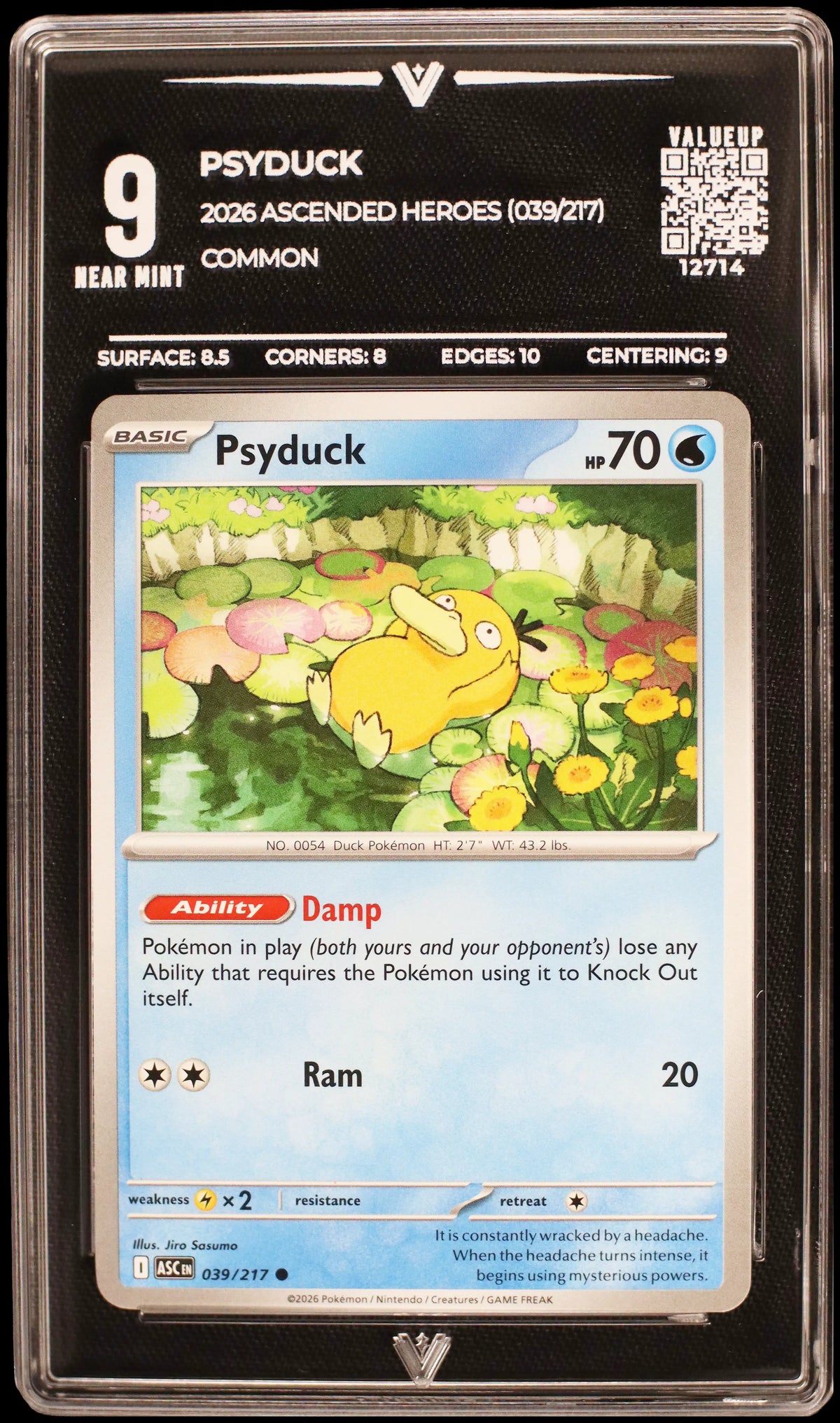 12714 PSYDUCK