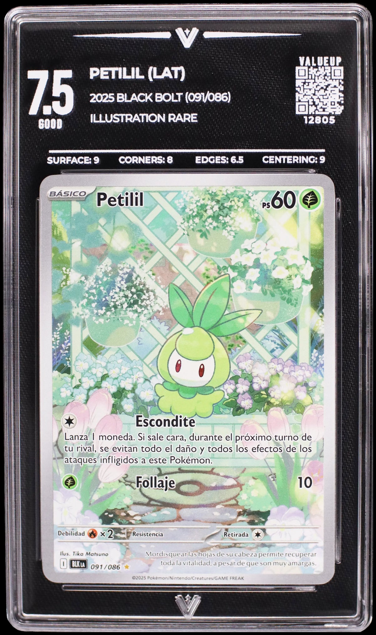 12805 PETILIL (LAT)