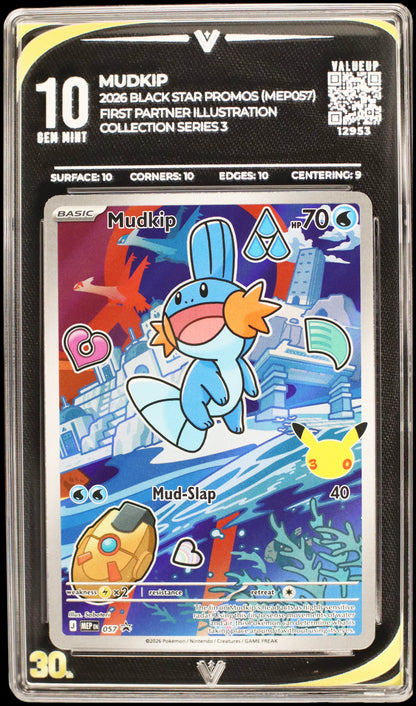12953 MUDKIP
