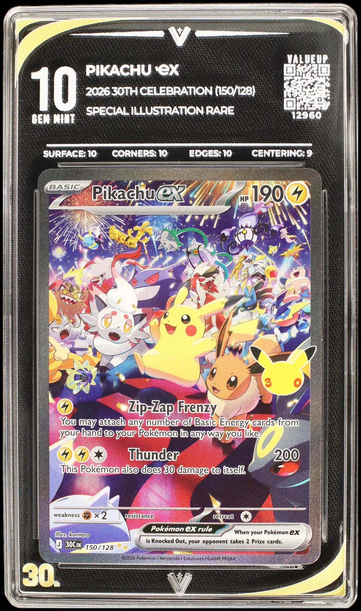 12960 PIKACHU Ҽx