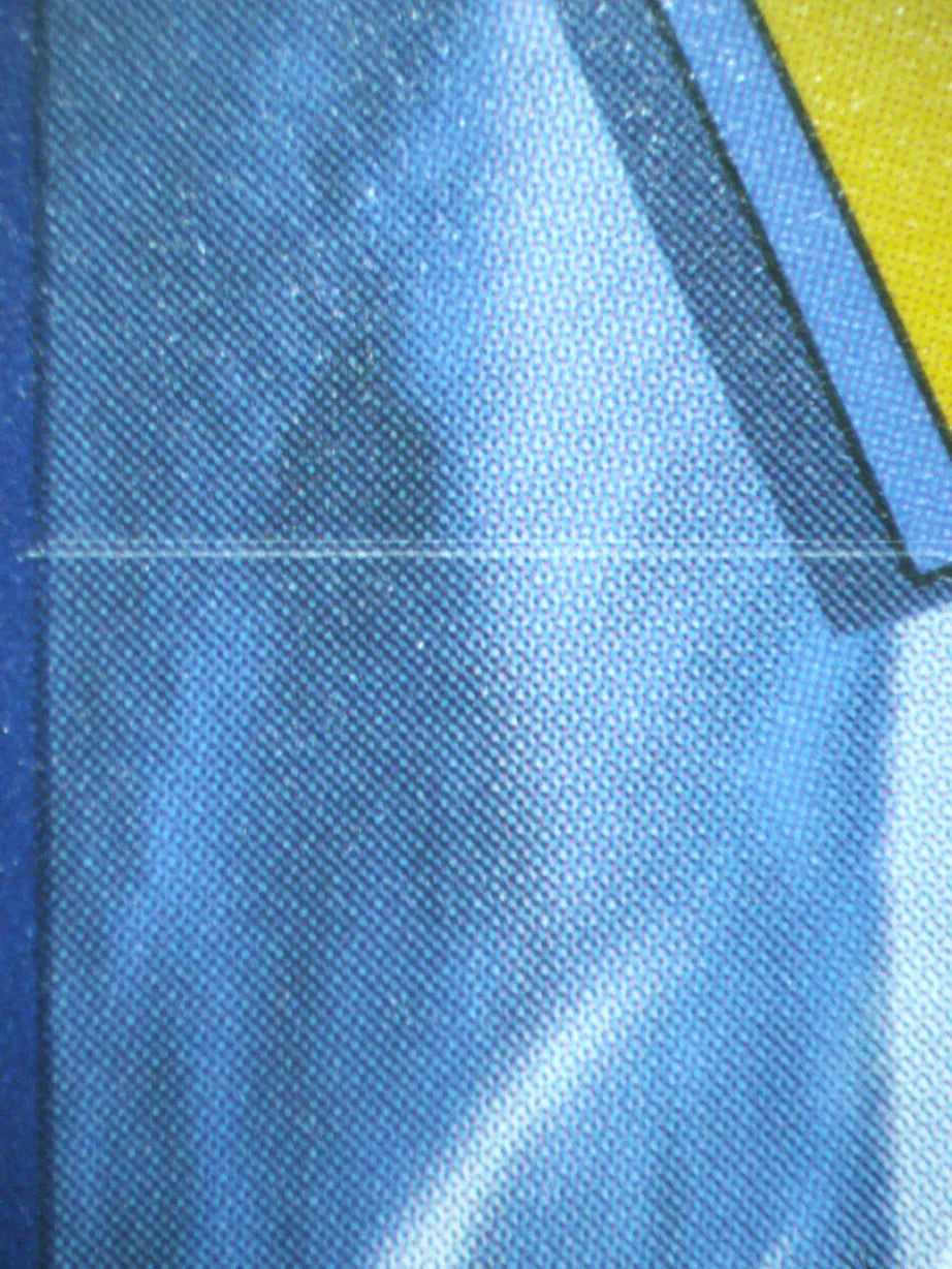 00316 STARYU Grading Card