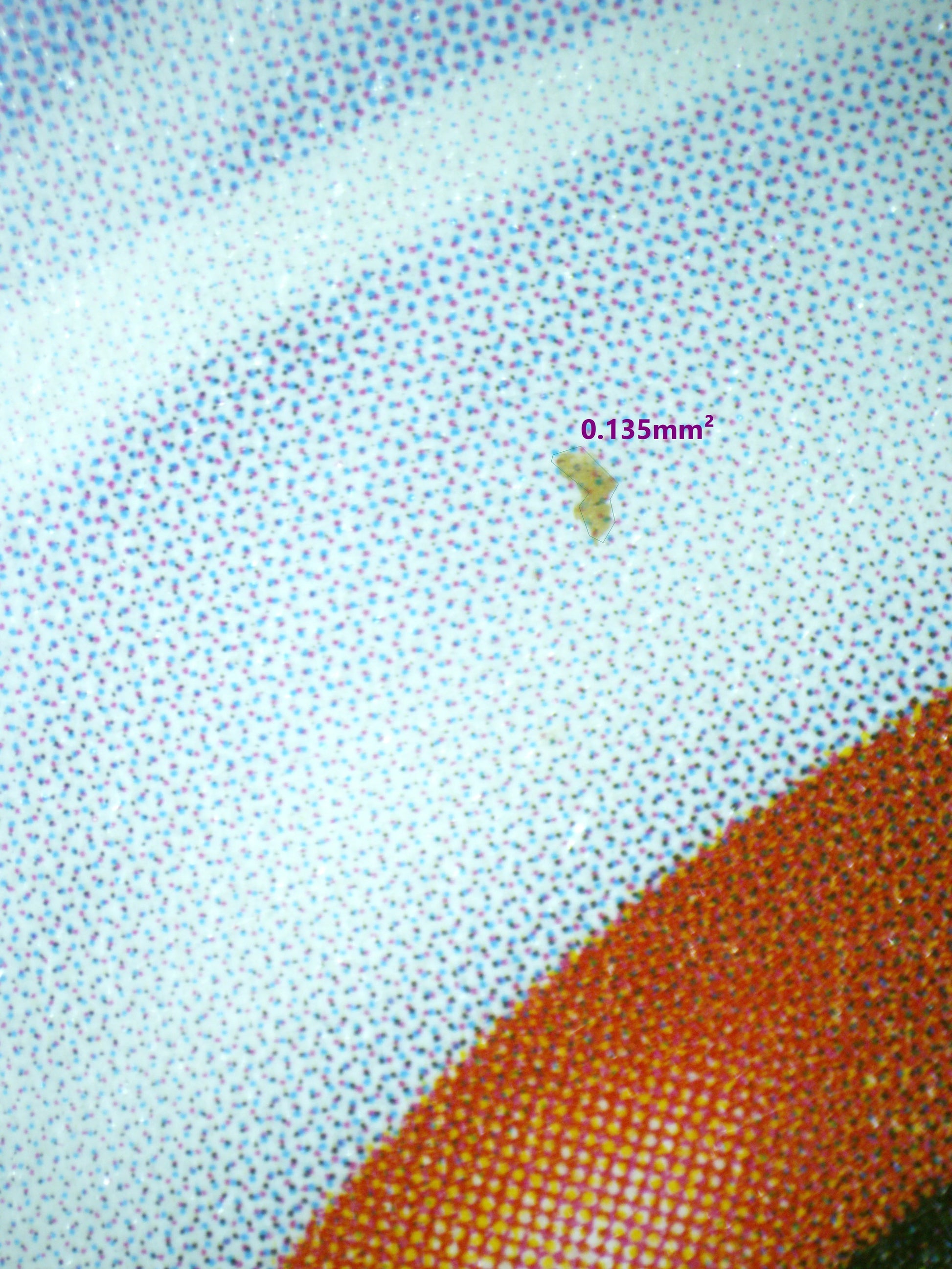 01059 SABRINA'S PSYDUCK Grading Card