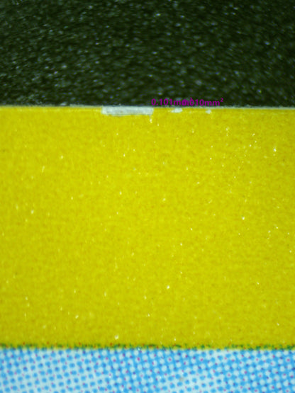 01058 MISTY'S PSYDUCK Grading Card