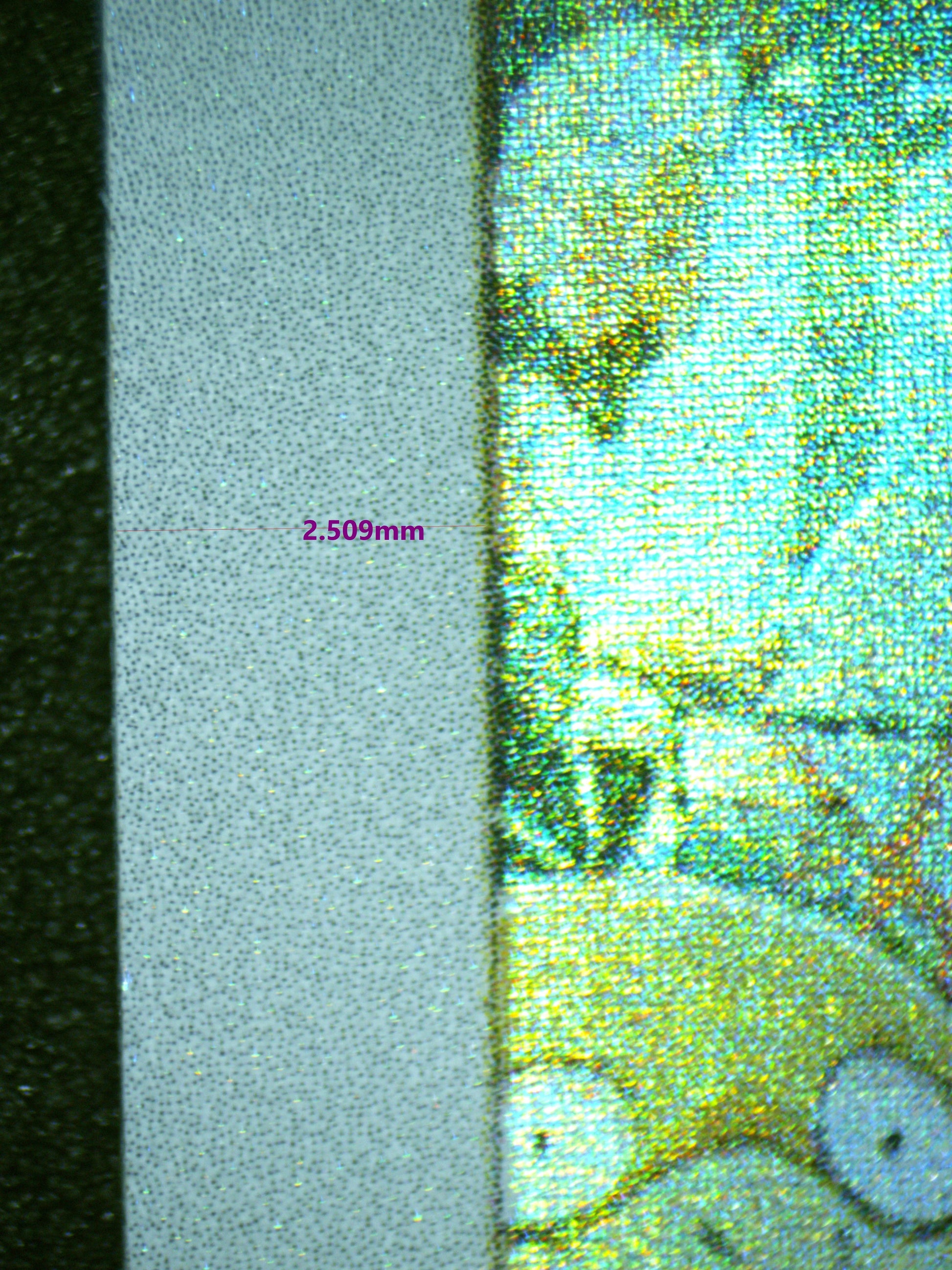 00384 PIKACHU Grading Card