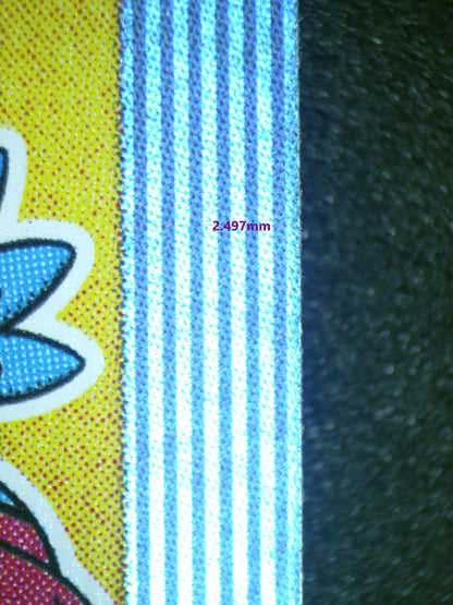 00094 KANAZAWA'S PIKACHU (JAPANESE)
