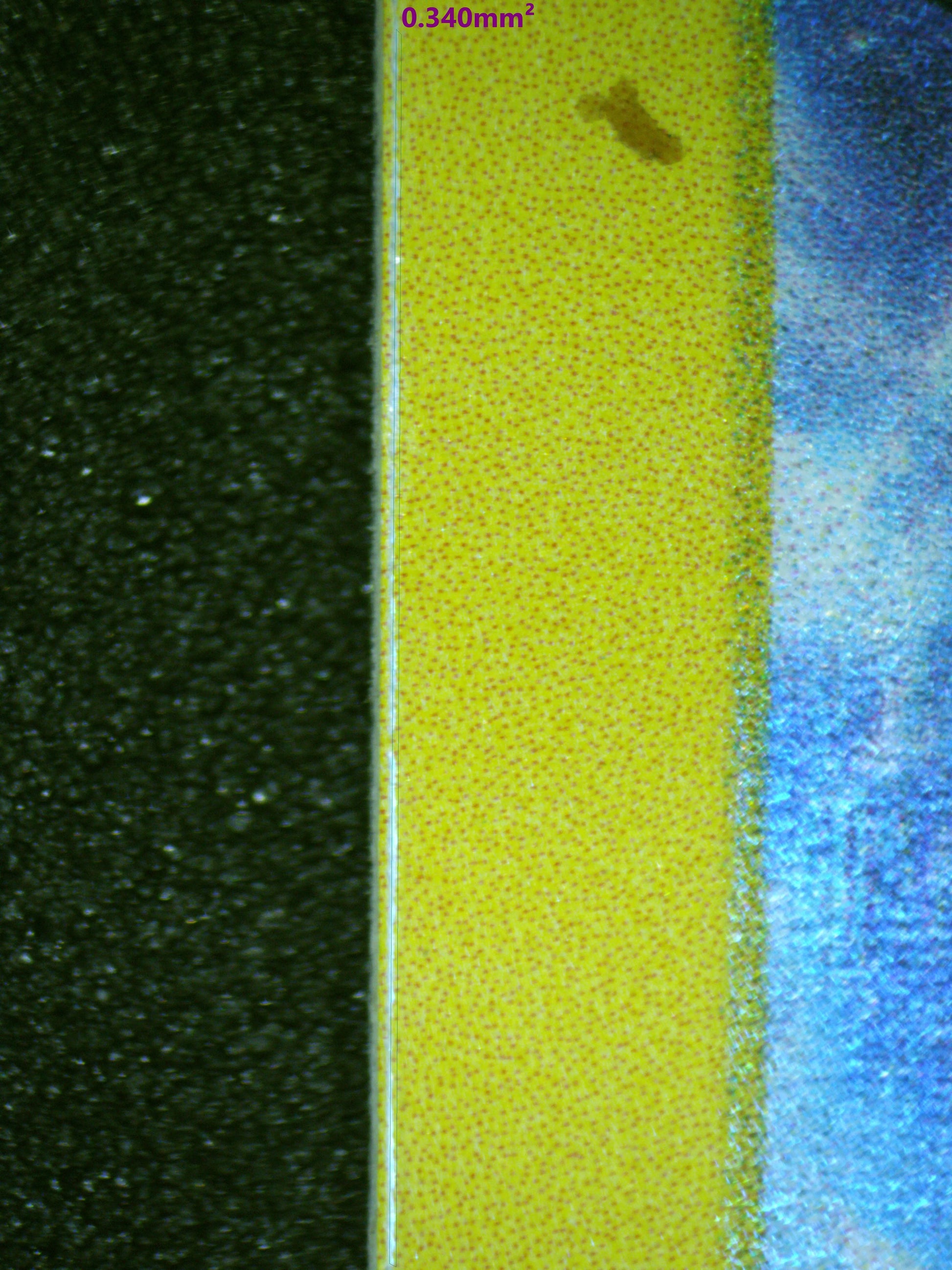 01063 GYRADOS Grading Card